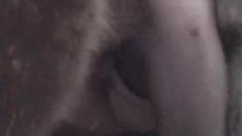 Hardcore fucking video with a stallion and a slut