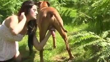 Brunette blows a sexy animal in a grassy field