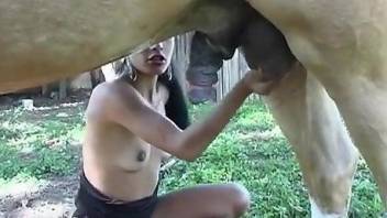 Horned-up zoophile worships a stallion's hard cock