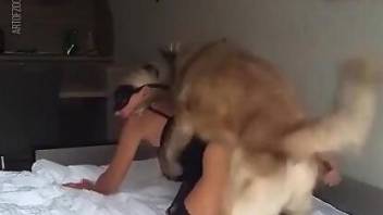 Blonde with firm boobs is going to fuck her fave dog