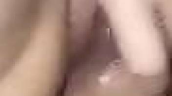 Zoomed-in zoophilic loving to make you cum hard