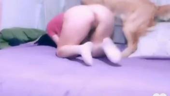 Hot lady with nice set of curves is fucking a dog