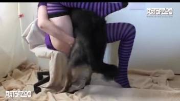 Purple striped stockings brunette gets fucked by a dog