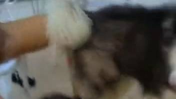 Burly guy ejaculates pleasantly into my hot wife's mouth