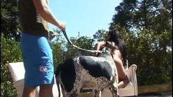 Intense bestiality encounter in rear-entry position with a spotted animal beside the pool.