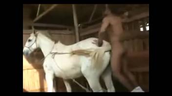 Rider inspects her beautiful horse in the stable
