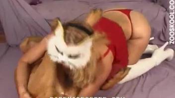 Dog smells her filthy ass in doggy style pose