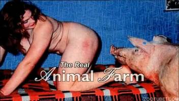 Classic animal sex backstage footage and discussions