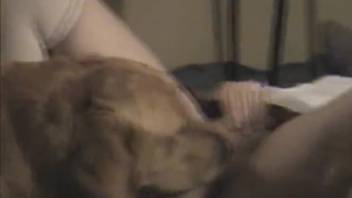 Cute blonde babe is trying to screw with her fortunate pooch