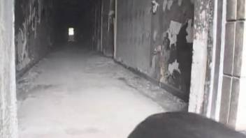 Lovely Asian woman with an adorable face skillfully fellates a canine penis