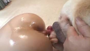 Stunning Japanese babes are screwing with dogs