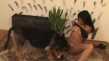 Tanned Latina babe face-fucked by a big-dicked dog