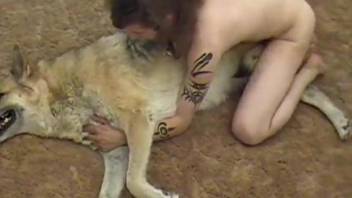 Filthy zoophile is cumming on a doggy after nice sex
