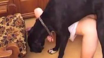 Amateur animality XXX with a filthy male zoophile and his doggy