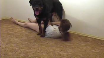 Ebony canine with massive cock and genuine animal enthusiast indulging in zoophilia