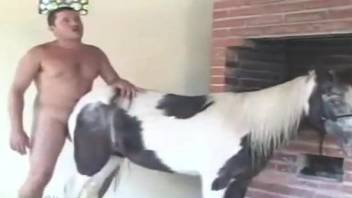 Owner is fisting and pounding his lovely spotted horse