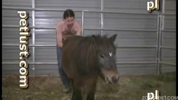 Gorgeous male horse anal romp in doggy style with a farmwoman