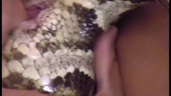 Exotic bestiality adult video featuring a family pair and a giant snake