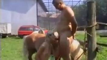 Fat male impaled his lovely pony in the doggy style pose
