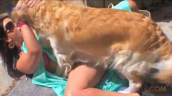 Plump woman with soaked vagina penetrated by her own dog outdoors