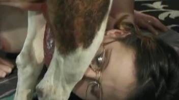 Hot librarian zoophile knows how to suck a dog dick