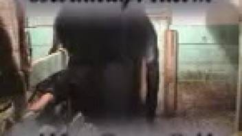 Stallion totally demolishes a chubby dark-haired woman in a stable