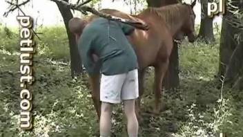 Farmer anally screwed his white stallion in doggy style