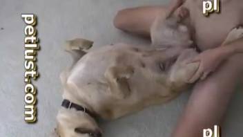 Man fucks his personal bitch in missionary position