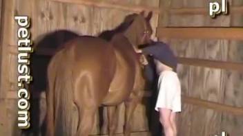 Hard dick fills out tight anal hole of a stallion