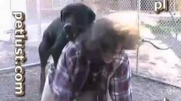Black dog with hard prick orally pounds a sweet girl