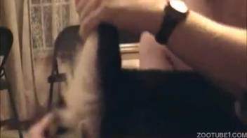 Adorable Husky is erotically fellated by twisted beast-lover