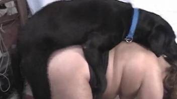 Wet pussy babe gets filled with fresh canine cum