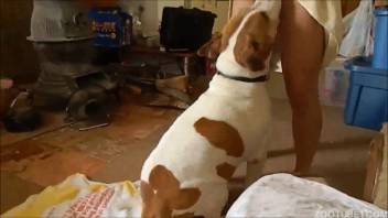Plump guy has his butt rimmed and deeply penetrated