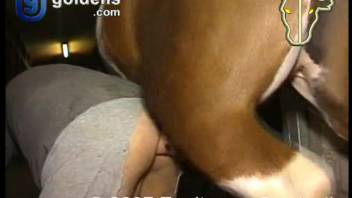 Guy ripped his trousers for enhanced anal connection with the horse's cock
