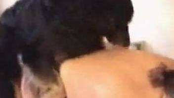 Spunky chick seducing a big-dicked black dog on cam
