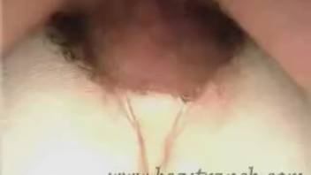 Perverted rancher can't resist screwing a mare's vagina