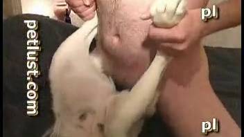 Incredible hunk with innocent eyes was anally pounded in the missionary position.