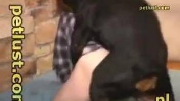 Black dog and old man fuck in doggy style animal porn action