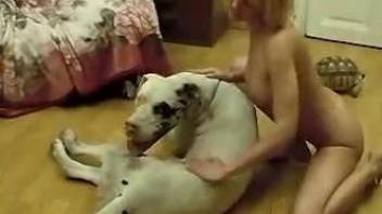 Tanned blonde sucking a dog's throbbing boner