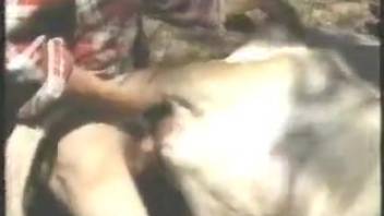 Guy screwing the hot throat of a horned livestock beast
