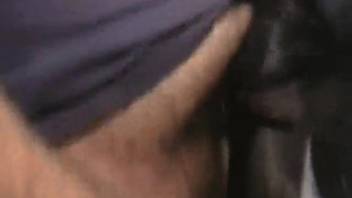 Guy thrusts his cock into a mare's pussy while recording the act