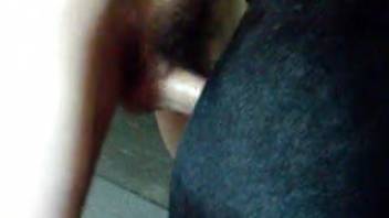 Ebony canine with erect cock penetrates a passionate animal lover in homemade zoophilia