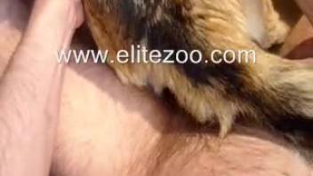 Furry animal enthusiast guy pounds his yielding pet in first-person view.
