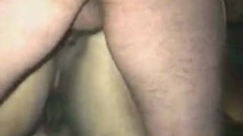 Guy pounds equine's narrow rear hole in fantastic homemade footage