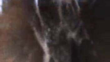 Guy probes and jizzes on the butthole of a submissive bay horse