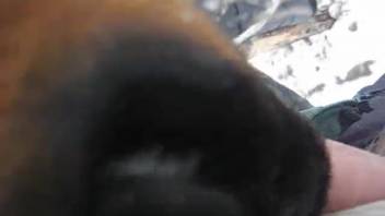 Llama-like creature eagerly blowing this guy's foreskin-covered dick