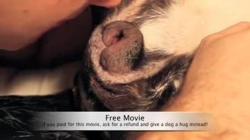Guy brutally screws his canine companion