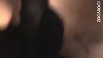 Voluptuous lady takes massive horse dick that destroys her pussy