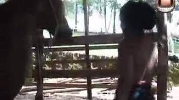 Latina wearing white boots can't quit screwing horses