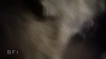 Intense rear-entry pounding for a stylish dark-haired babe